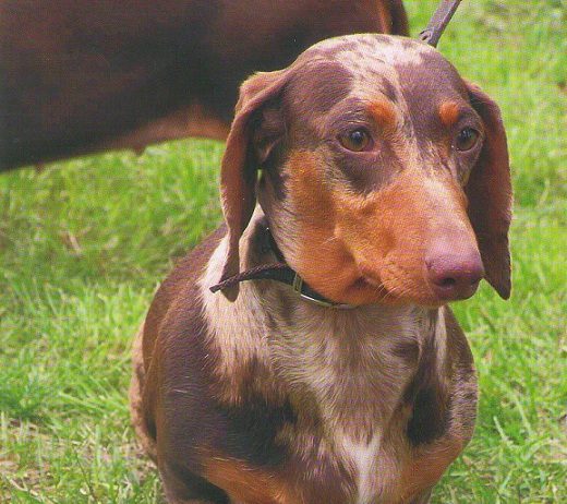 Matka zachránila dceru