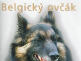 Příčina a následky