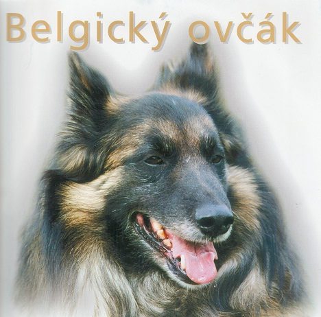 Příčina a následky