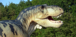 Dinosauři jsou o 10 až 15 milionů let starší