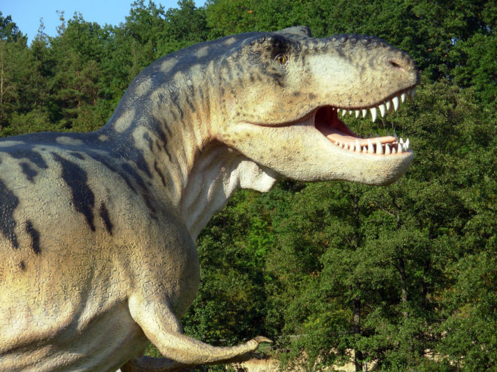 Dinosauři jsou o 10 až 15 milionů let starší